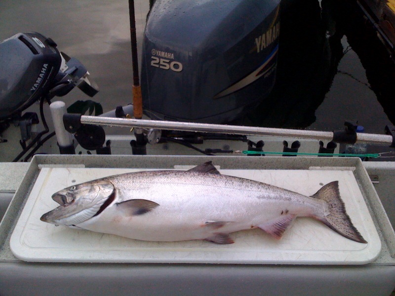 Stern of Highliner Charters' 26-foot Harbercraft Kingfisher fishing boat, featuring a fresh-caught salmon on the fish cleaning station.