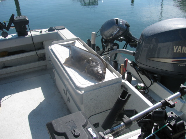 Stern of Highliner Charters' 26-foot Harbercraft Kingfisher fishing boat, featuring a fish cleaning station and main outboard engine.